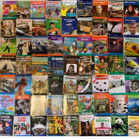 10 Spanish Children's Story Books 16-24 pages Benchamark Reading Books Reading Extracurricular Books