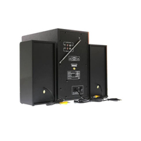 Music D.J. BLUETOOTH FM USB (SA-1200T) (2.1)