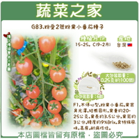 【蔬菜之家】G83.粉愛2號粉果小番茄種子(共有2種包裝可選)