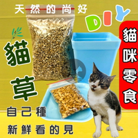 ✪四寶的店n✪ 貓草新鮮栽培盒-貓咪生菜 新鮮貓草栽培盒