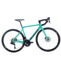 【BIANCHI】SPRINT icr 碳纖維碟煞公路車電變
