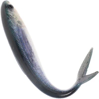 Bionic Soft Bait Tuna Nanyouhai Fishing (single) Salt Fresh Water Fishing Lures Lure Artificial Fake Lures Tool