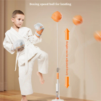 Boxing Speed Response Ball Indoor Standing Training Ball Home Sandbags Martial Arts Boxing Target Sp