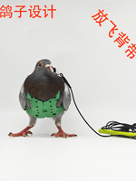 鴿子放飛繩信鴿放飛牽引賽鴿負重訓練溜鴿子遛鳥鴿子用具用品