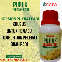 Pupuk Cair Semprot Memperbanyak Anakan Padi Sawah ,Pupuk Pelebat Buah Padi dan Menambah Bobot Padi T