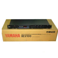 REV100DSP professional KTV stage digital effector digital reverberator processor with power adapter