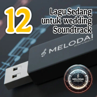 Flashdisk Wedding Soundtrack Sedang Berisi Lagu - Model Terbaru - Storage, Otg