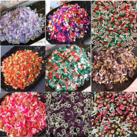 20g Fruit Christmas Candy Mixed Crystal Pearl Beads Polymer Hot Clay Sprinkles for Slimes Filler Tiny Cute DIY Sequin Crafts