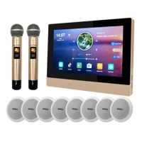 WiFi Digital Amplifier Audio PA Ceiling Speaker Wireless Microphone Karaoke Home Theatre Sound System
