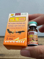 Gold Bear Super B12 5000 - Tiêm Phục Hồi Bổ Máu 2 ML/LỌ - Tăng Cường Trao Đổi Chất & Kéo Dài Thời Gi