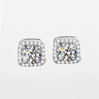 E-003 /  Anting-Anting Wanita Titanium