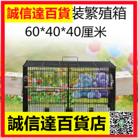 帶隔斷鳥籠繁殖籠金屬鳥籠可裝繁殖箱虎皮鸚鵡八哥