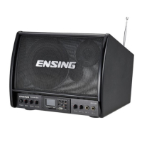 【ENSING 燕聲】ENSING 燕聲 卡拉OK小音響(ESY-500)