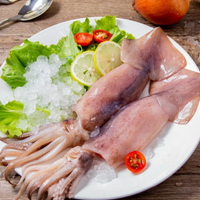 阿根廷大魷魚 (5隻入)