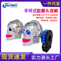 Cross-Border Hot Selling 12V Motorcycle Wristband Skull Head Audio Car Subwoofer Waterproof Bluetoot