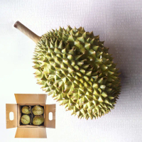 【FruitGo馥果】越南A級干堯榴槤(9kg±10%原箱產地直送)