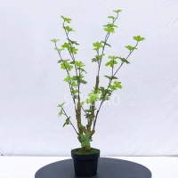 custom.Custom Home Decor Artificial Plants Bonsai Trees Artificial Trees Artificial Trees Large Bonsai Plants Faux Gre