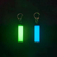 Luminous Pendant Everbright Glow Stick Resin EDC keychain Non-tritium Brightness High Signal Light Vehicle Accessory Bag Decor