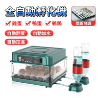 現貨速出 水床鴨鵝蘆丁小雞孵化器 孵蛋器 孵蛋機 孵化箱 小型家用型全自動智能