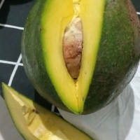 Alpukat Kendil Premium - Buah Alpukat Berkualitas Tinggi untuk Kumpulan Keluarga