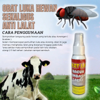 OBAT ANTI LARVA LALAT PADA SAPI DAN HEWAN TERNAK