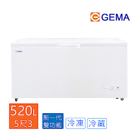 至鴻 GEMA 密閉式520L冷凍櫃 5尺3 冰櫃 BD-520 日本品質規範商品，低溫冷凍儲存專櫃