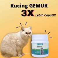 Vitamin Penggemuk Kucing Dan Bulu Cepat Kampung Dewasa BPOM