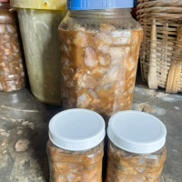 Mắm cá SẶC, nấu bún nước lèo, kho mắm