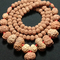 Sidamala Rudraksha Asli 108 Mukhi Ukuran 11-20mm - Beads Natural Rudraksha Original 1 hingga 14 Mukh