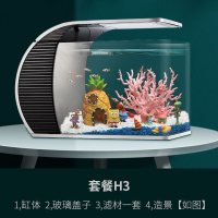 Table Top Fish Tank Set Aquarium Small Desktop Ecological Landscaping Glass Household Double Filter Change Water Self-Circulation 19 dian