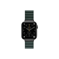 【LAUT 萊德】Apple Watch 38/40/41mm 磁吸時尚錶帶-松木綠