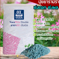 ปุ๋ยแบ่งขาย500-1000kg ยารามีร่าสูตร8-24-24