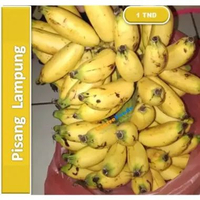 Buah Pisang Lampung Segar - Pisang Muli Fresh | 1 Tandan [ Harga Per TDN ]