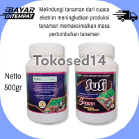 pupuk susi growth silika perkuat batang , nutrisi pembuahan tanaman sayuran buah padi kentang dan la