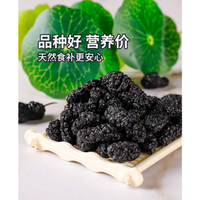 現貨【新鮮桑葚乾500g/袋】黑桑椹非特級免洗即食泡茶泡水大顆粒黑桑葚子果乾