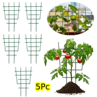 【Planter】5個裝園林塑膠植物支撐架(爬藤支架 園藝工具 植物支撐架 爬藤支架 園藝工具 月季支架)