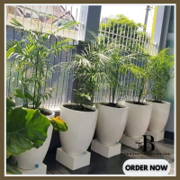 Pot Teraso| Pot Tipe Gelas Estetik
