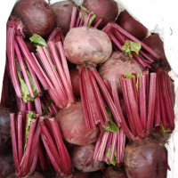 Buah Bit (Beetroot)