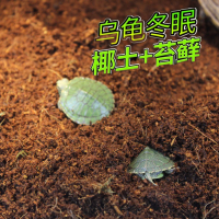 椰土磚草龜椰土小烏龜冬眠用的沙保濕苔蘚耶土專用用品保溫無菌土