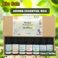 Aromatherapy Essential Oil Set Diffuser Vanilla Mint Eucalyptus Lavender Rose Tea Tree Lemon Essential Oil Natural Plant Aroma