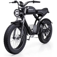 Urbrica，Adult Electric Bike, 1500W 30MPH, 48V 20/23AH, Max 75 Miles Electric Motorcycle 20 inch Fat Tire Dirt Bike，