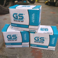 Aki Kering GTZ5S
