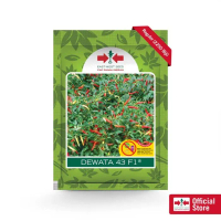 Benih Cabe Rawit Dewata 43 F1 Isi 2250 Biji - Cap Panah Merah