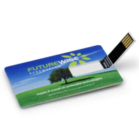 Bộ nhớ flash USB tùy chỉnh giá rẻ (1GB/2GB/4GB/32GB), thẻ bộ nhớ USB và bộ điều khiển USB