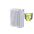 Coway AP-1019C 空氣清淨機 純淨白/芍藥粉/莫蘭迪綠 5-13坪 HEPA H13濾網