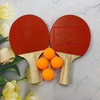 體育訓練器材乒乓球拍（2拍 短柄直拍+4球）#DADADI#Y17-04212 