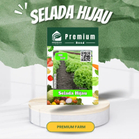 BENIH BIBIT SELADA HIJAU KERITING PREMIUM SEED