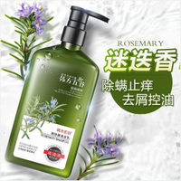 【寶雅】魔香牛蒡根迷迭香洗髪精 清爽控油 除螨止癢 洗髮水 沐浴露 護髮素 去蟎蟲 洗頭膏 洗髮精500ml 洗髮露