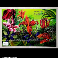 Prangko Nevis Flowers Of Caribbean Bunga Mint