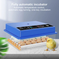 Automatic Egg Incubator Brooder Goose Duck Quail Pigeon Poultry Egg Incubator Automatic Incubator Home Farm Chicken Accessories